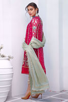 Picture of Grapevine