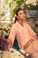 Picture of Amaryllis