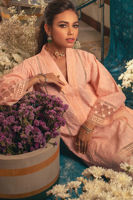 Picture of Amaryllis