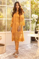 Picture of Sunflower