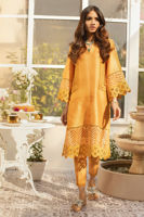 Picture of Sunflower