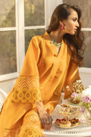 Picture of Sunflower