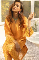 Picture of Sunflower