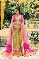 Picture of Novera kalidar