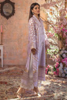 Picture of Arusha Lilac