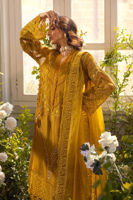 Picture of Mishka Ochre Gold