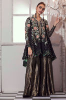 Picture of Black swan