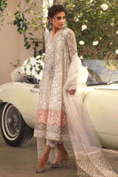 Picture of Swan song