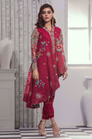 Picture of Scarlet lily