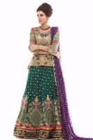 Picture of Rainforest garden