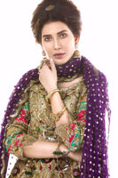 Picture of Rainforest garden