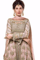 Picture of Blush rose