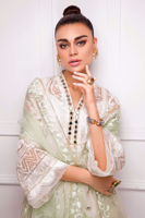 Picture of White magnolia