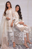 Picture of Blooming jasmine