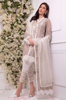 Picture of Evening pearl