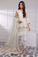 Picture of Ivy dreams