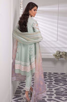 Picture of Sea angel