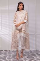 Picture of Sand iris