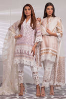 Picture of Sand iris