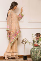 Picture of Colossal coral