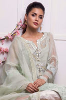 Picture of Mystery mint