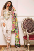 Picture of White land