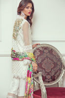 Picture of White land