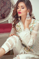 Picture of White land