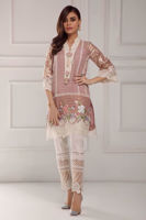 Picture of Aurora rose