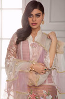 Picture of Aurora rose