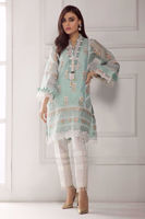 Picture of Blue vine