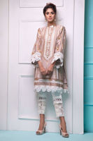 Picture of Dusky sand