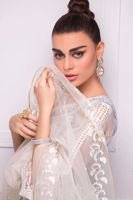 Picture of Diamond rush