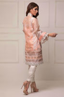 Picture of Peachy vines