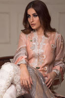 Picture of Peachy vines