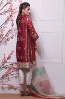 Picture of Scarlet sky