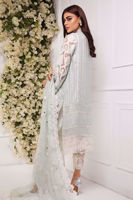 Picture of Coral reef