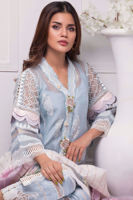 Picture of Serene star