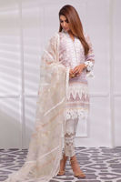 Picture of Baby's breath