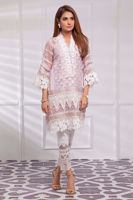 Picture of Baby's breath