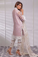 Picture of Baby's breath