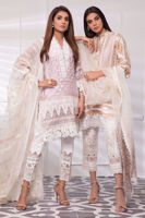 Picture of Baby's breath