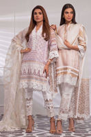 Picture of Baby's breath