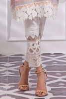 Picture of Baby's breath