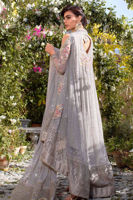 Picture of Evening mirage