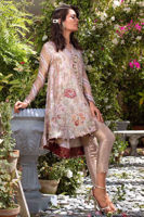 Picture of Dusty rose