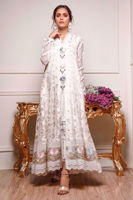 Picture of Kiran kalidaar