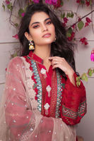 Picture of Nargis kalidaar crimson