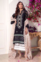 Picture of Nargis kalidaar noir