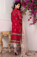 Picture of Nargis kalidaar crimson